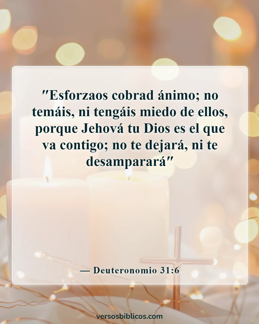 Versículos de la Biblia sobre ponerse toda la armadura de Dios (Deuteronomio 31:6)
