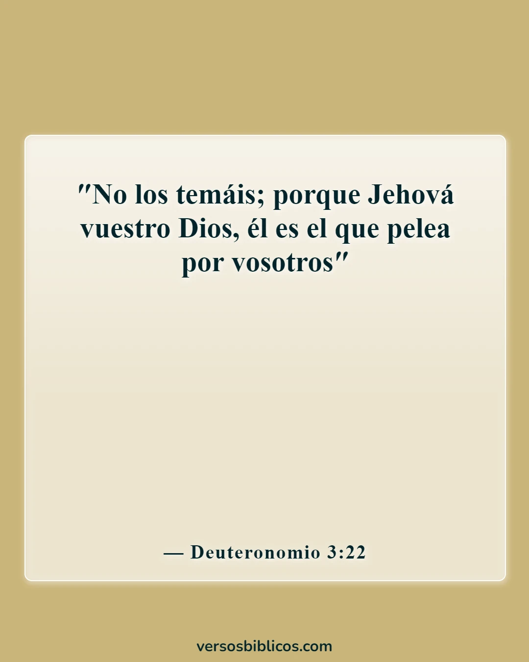 Versículos de la Biblia sobre la guerra contra los enemigos (Deuteronomio 3:22)
