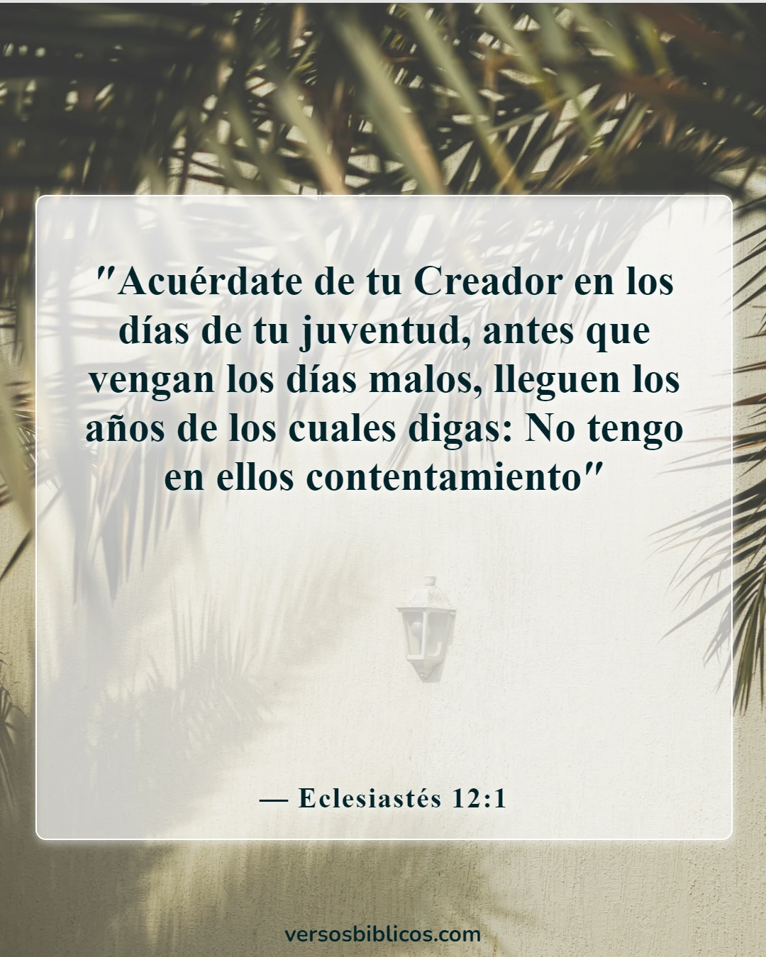 Versículos de la Biblia sobre el crecimiento espiritual (Eclesiastés 12:1)