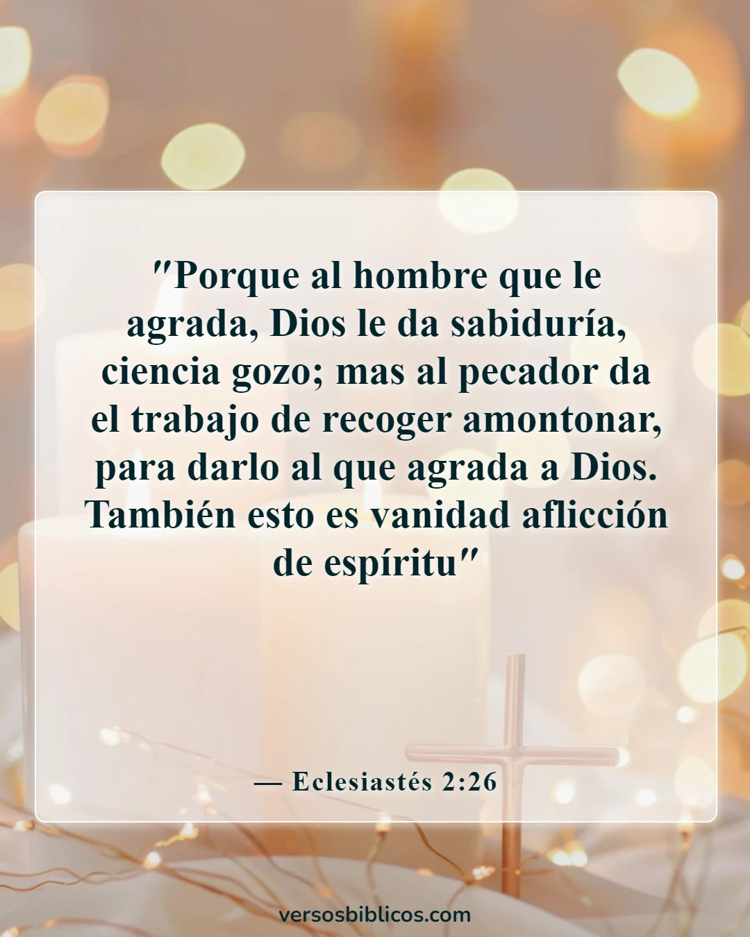 Versículos de la Biblia sobre la sabiduría de Salomón (Eclesiastés 2:26)