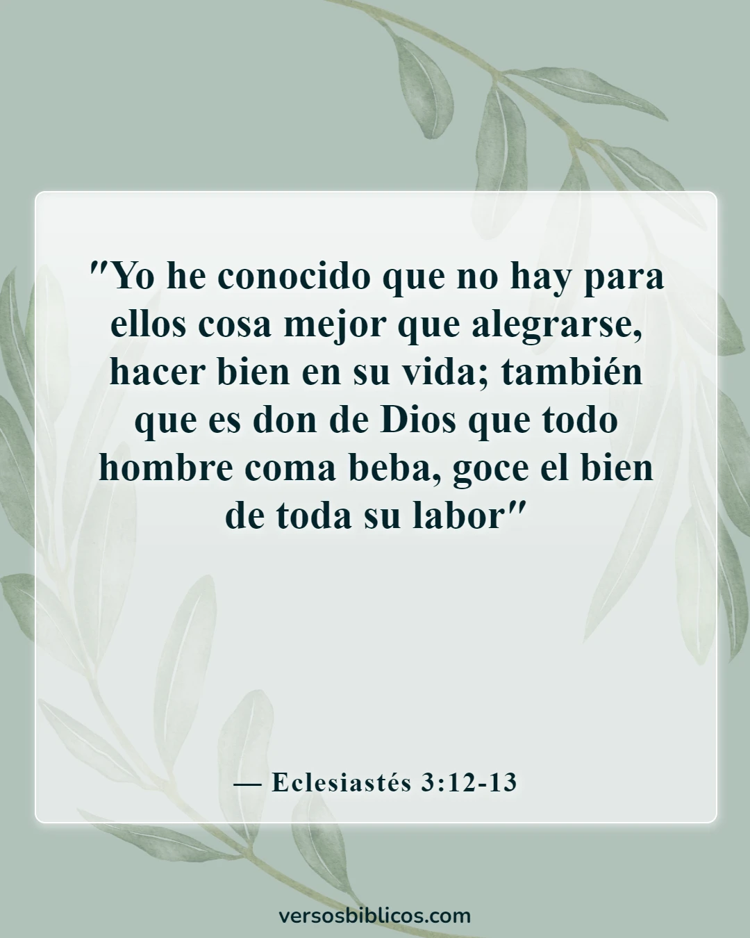 Versículos de la Biblia sobre la emoción (Eclesiastés 3:12-13)