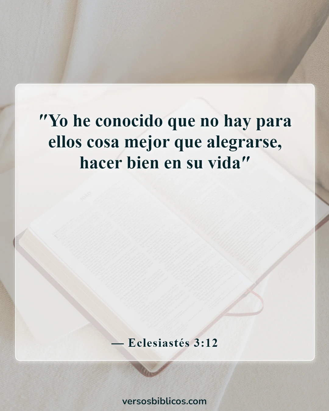 Versículos de la Biblia sobre sonreír, ser feliz y disfrutar la vida (Eclesiastés 3:12)