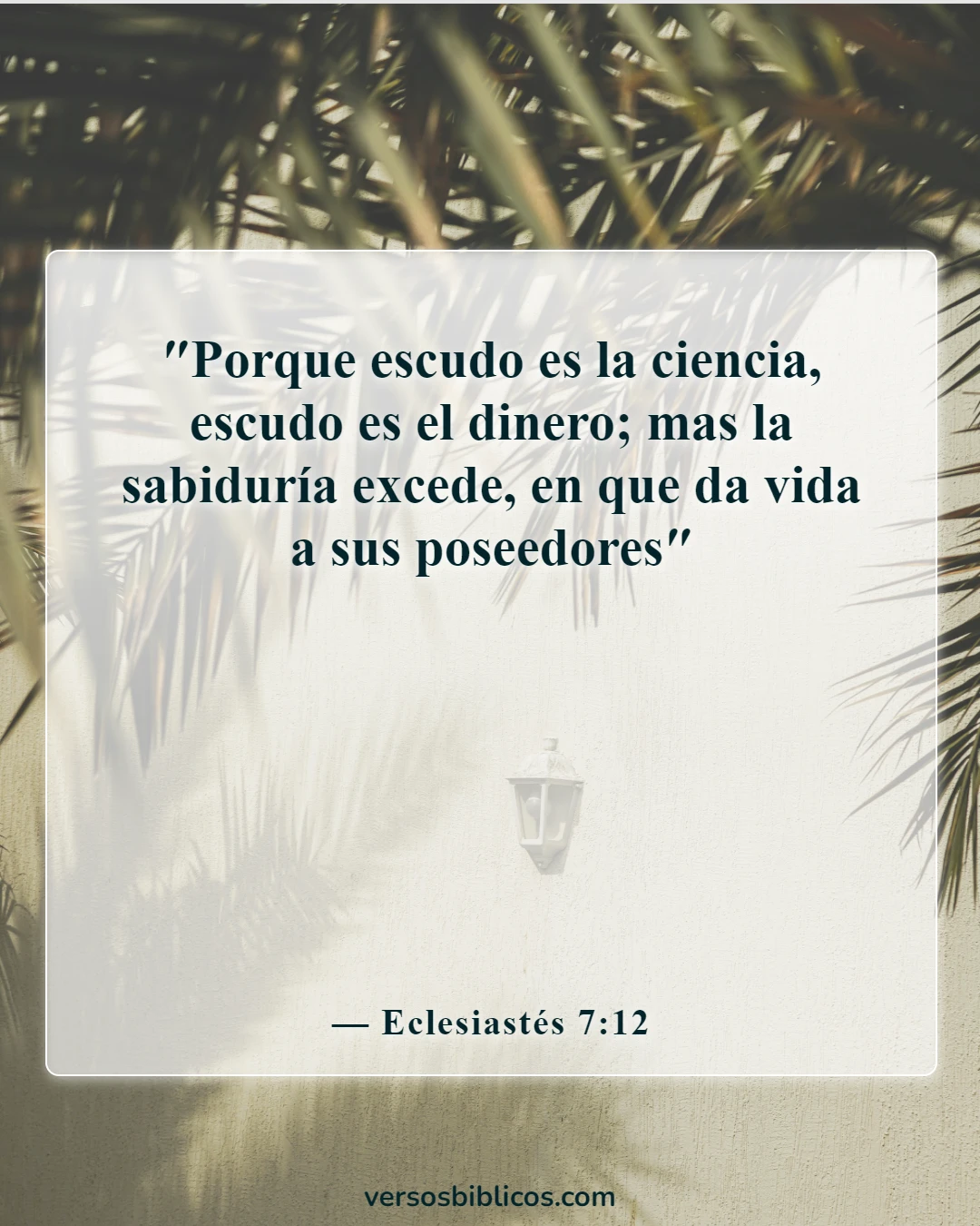 Versículos de la Biblia sobre la sabiduría de Salomón (Eclesiastés 7:12)