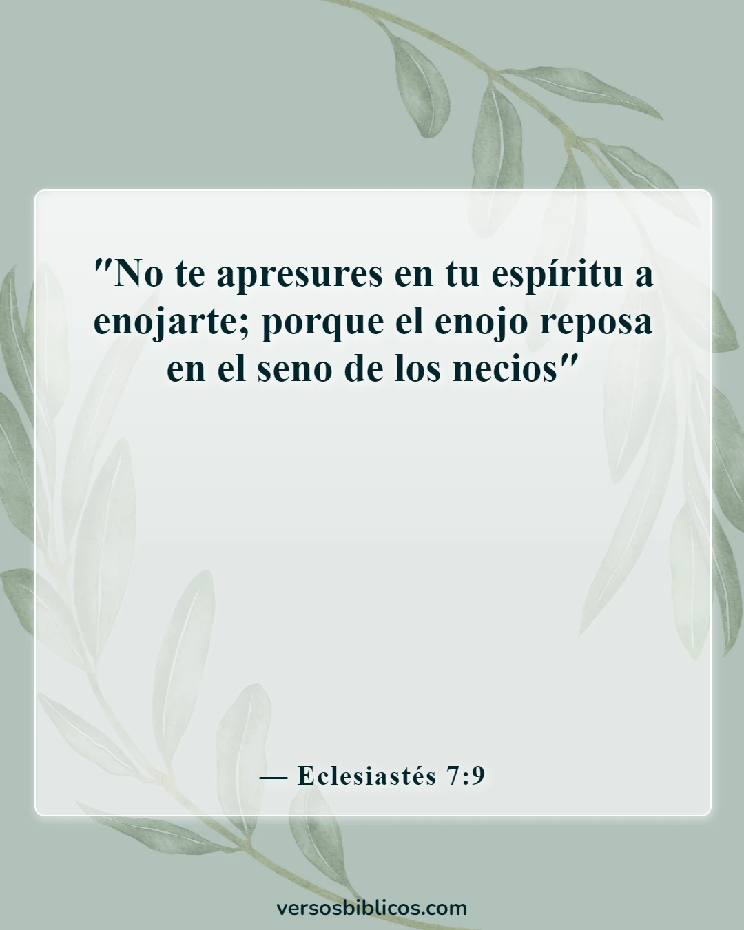 Versículos de la Biblia sobre el autocontrol y la autodisciplina (Eclesiastés 7:9)