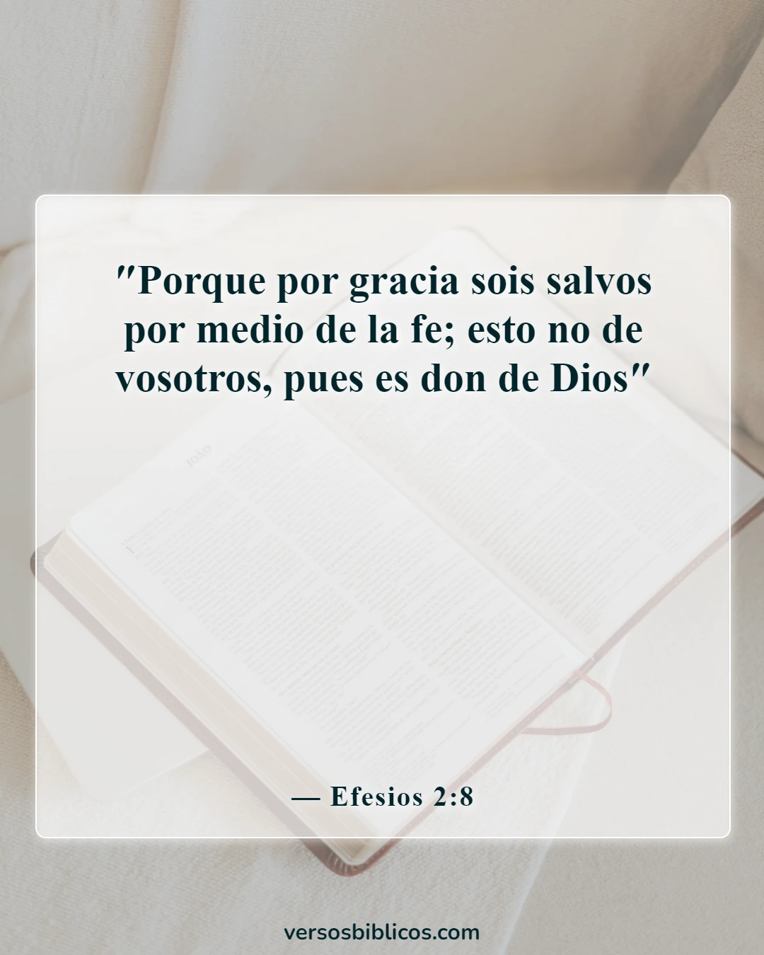 Versículos de la Biblia sobre la esperanza del cielo (Efesios 2:8)