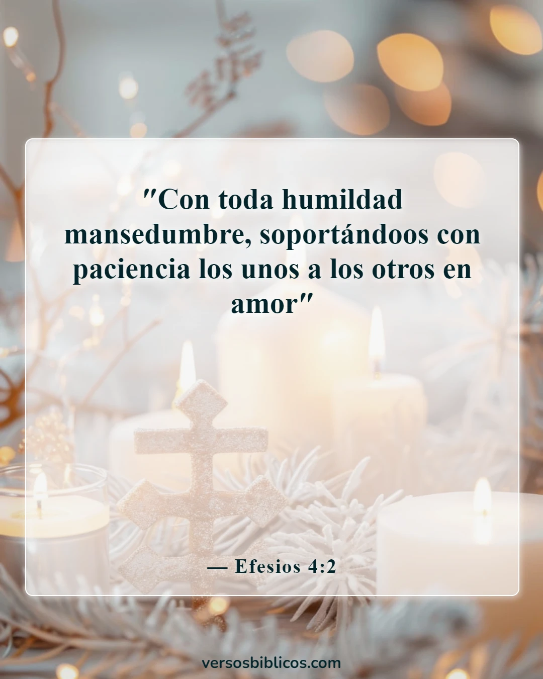 Versículos de la Biblia sobre llevar las cargas unos de otros (Efesios 4:2)