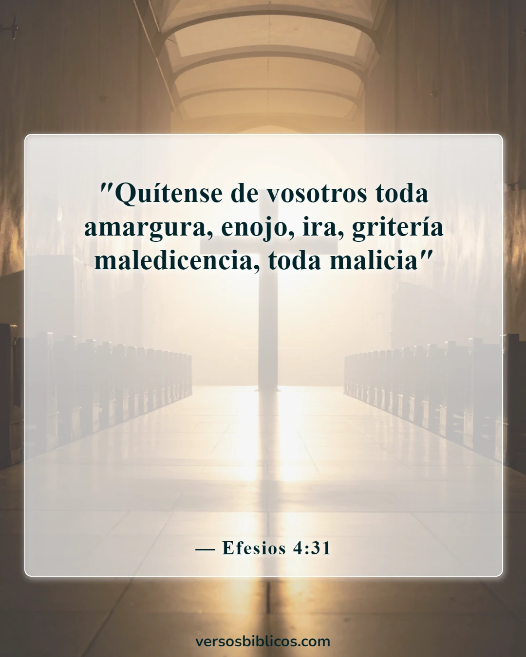 Versículos de la Biblia sobre decir malas palabras y lenguajes (Efesios 4:31)