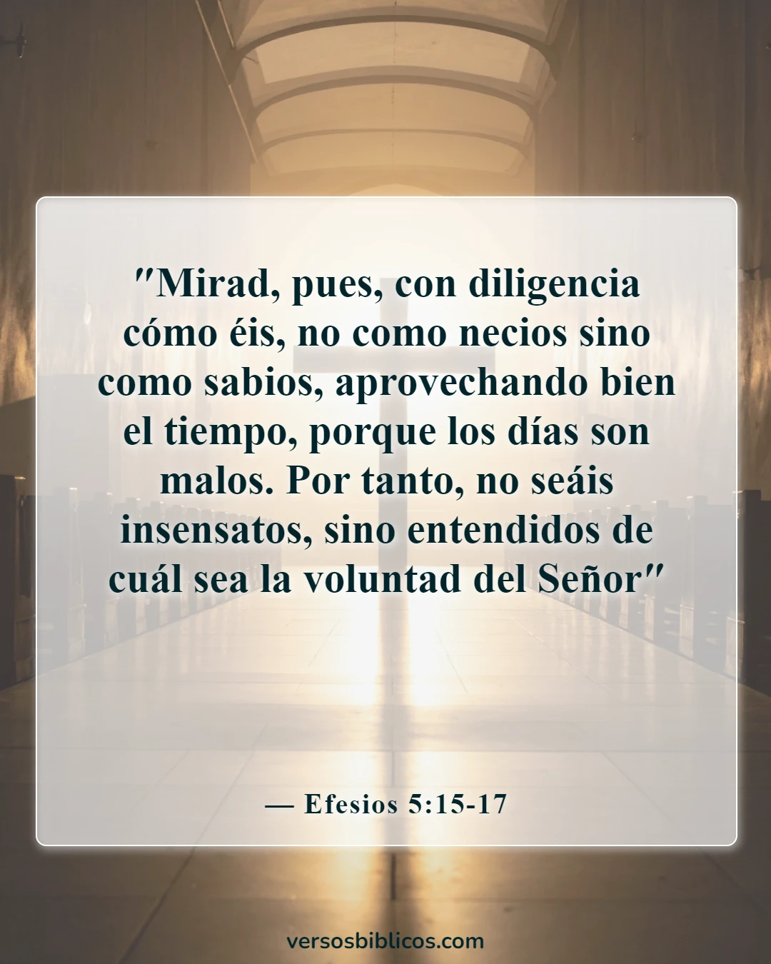 Versículos de la Biblia sobre el discernimiento (Efesios 5:15-17)