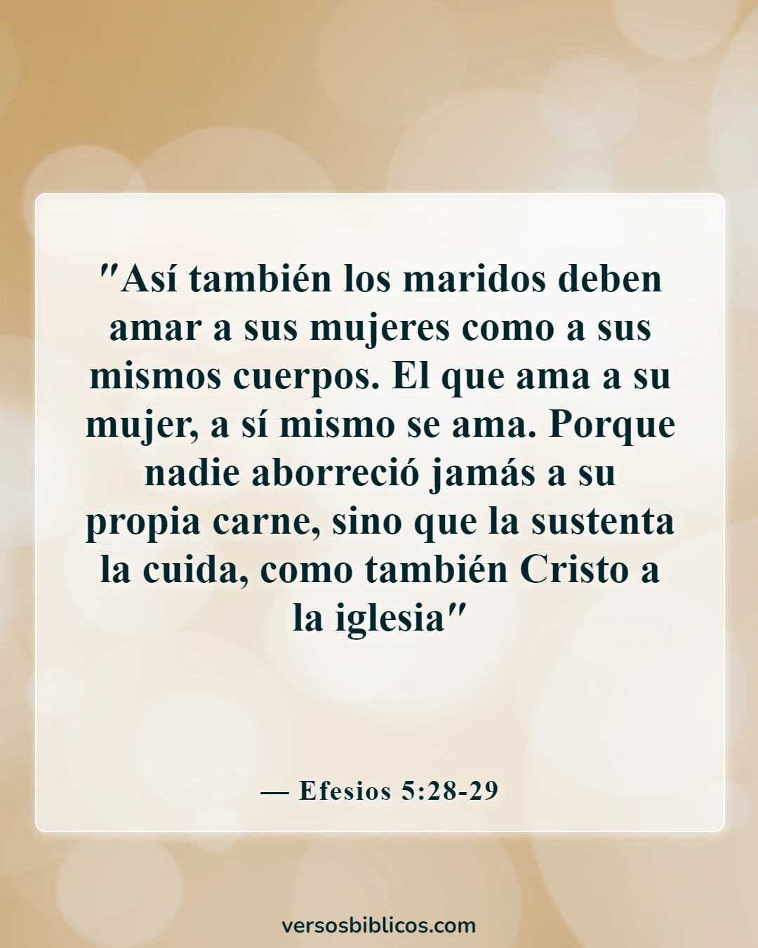 Versículos de la Biblia sobre lastimar a una mujer (Efesios 5:28-29)