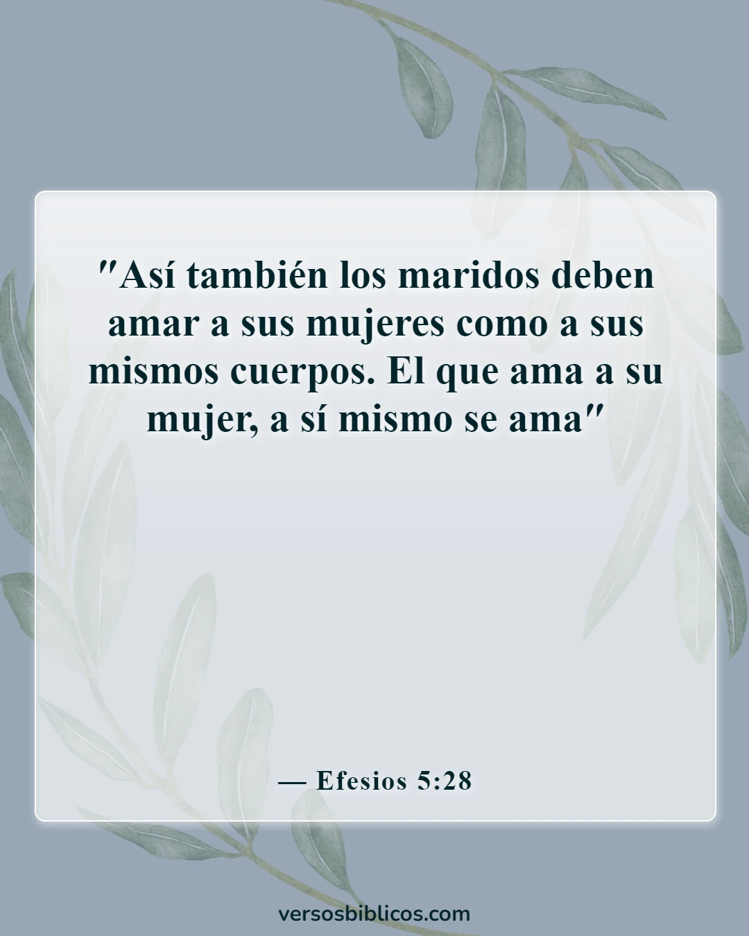 Versículos de la Biblia sobre faltarle el respeto a su esposa (Efesios 5:28)