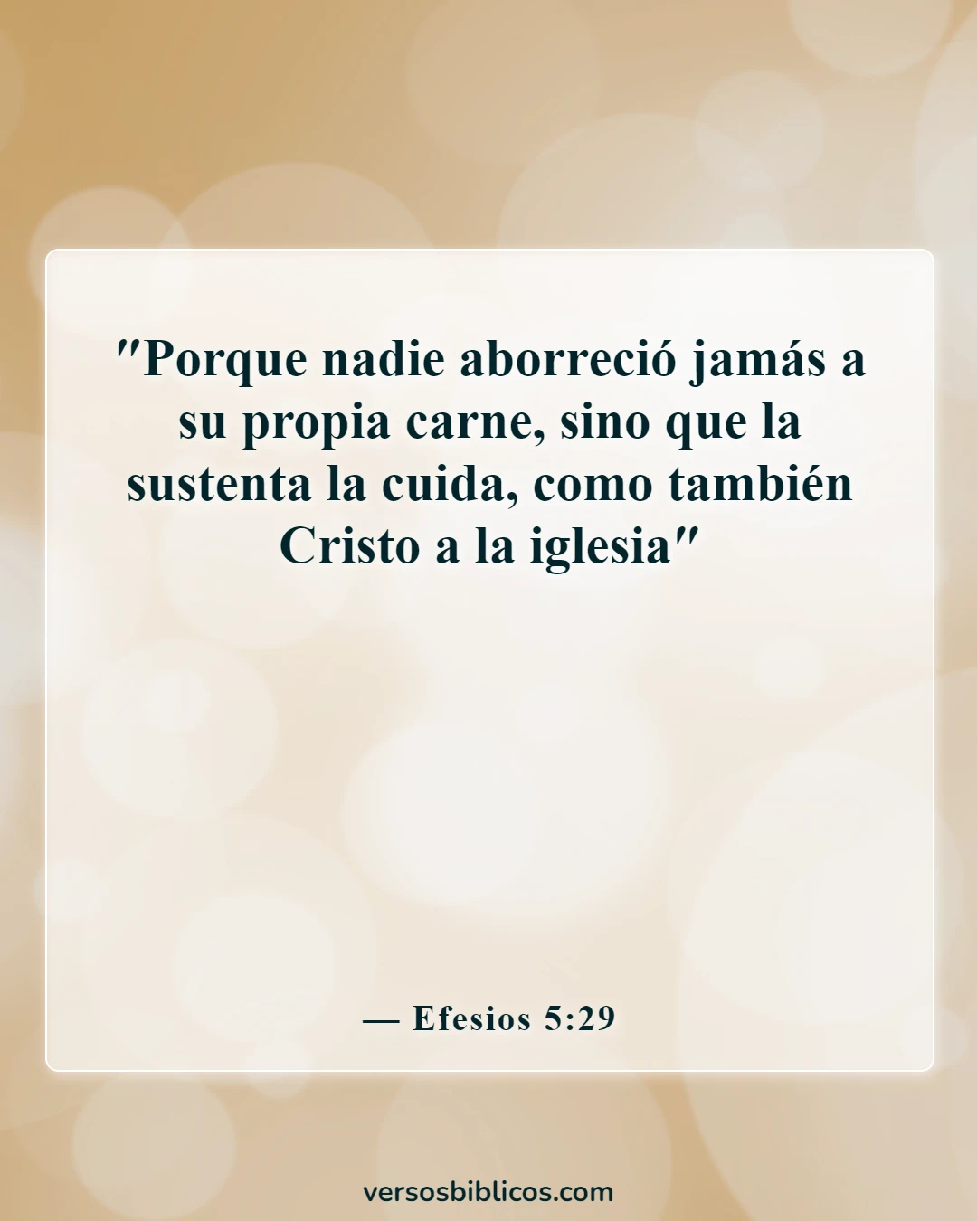 Versículos de la Biblia sobre citas biográficas personales (Efesios 5:29)