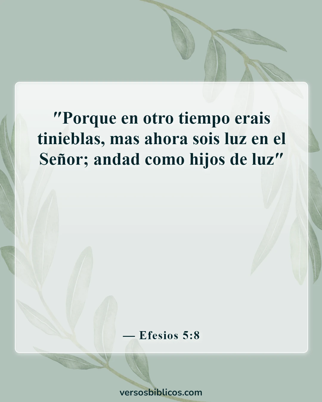 Versículos de la Biblia sobre un ejemplo para los incrédulos (Efesios 5:8)