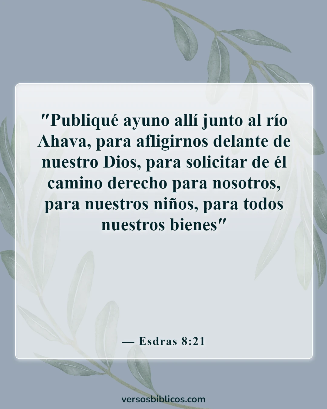 Versículos de la Biblia sobre el ayuno (Esdras 8:21)