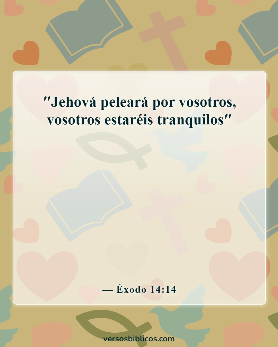 Versículos de la Biblia sobre el embarazo inesperado (Éxodo 14:14)