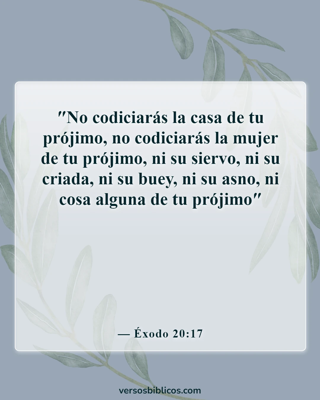 Versículos de la Biblia sobre los celos en las relaciones (Éxodo 20:17)