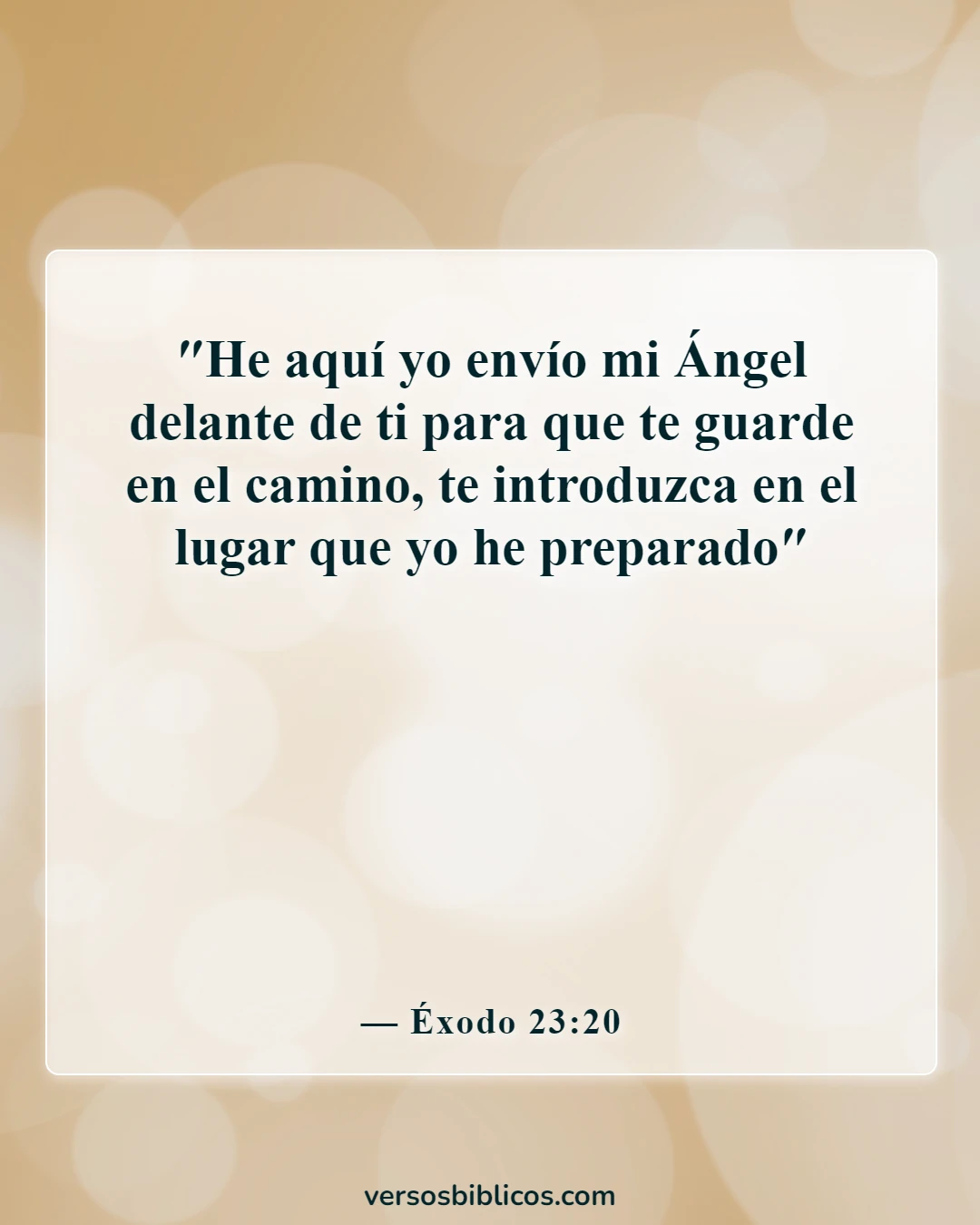 Versículos de la Biblia sobre los ángeles que te cuidan (Éxodo 23:20)