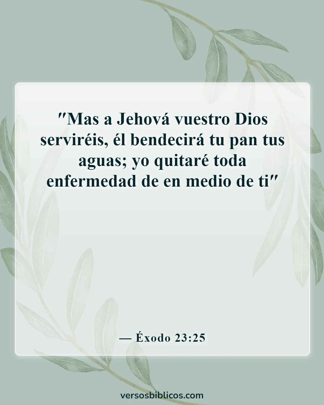 Versículos de la Biblia sobre el cuidado de los pobres y los enfermos (Éxodo 23:25)