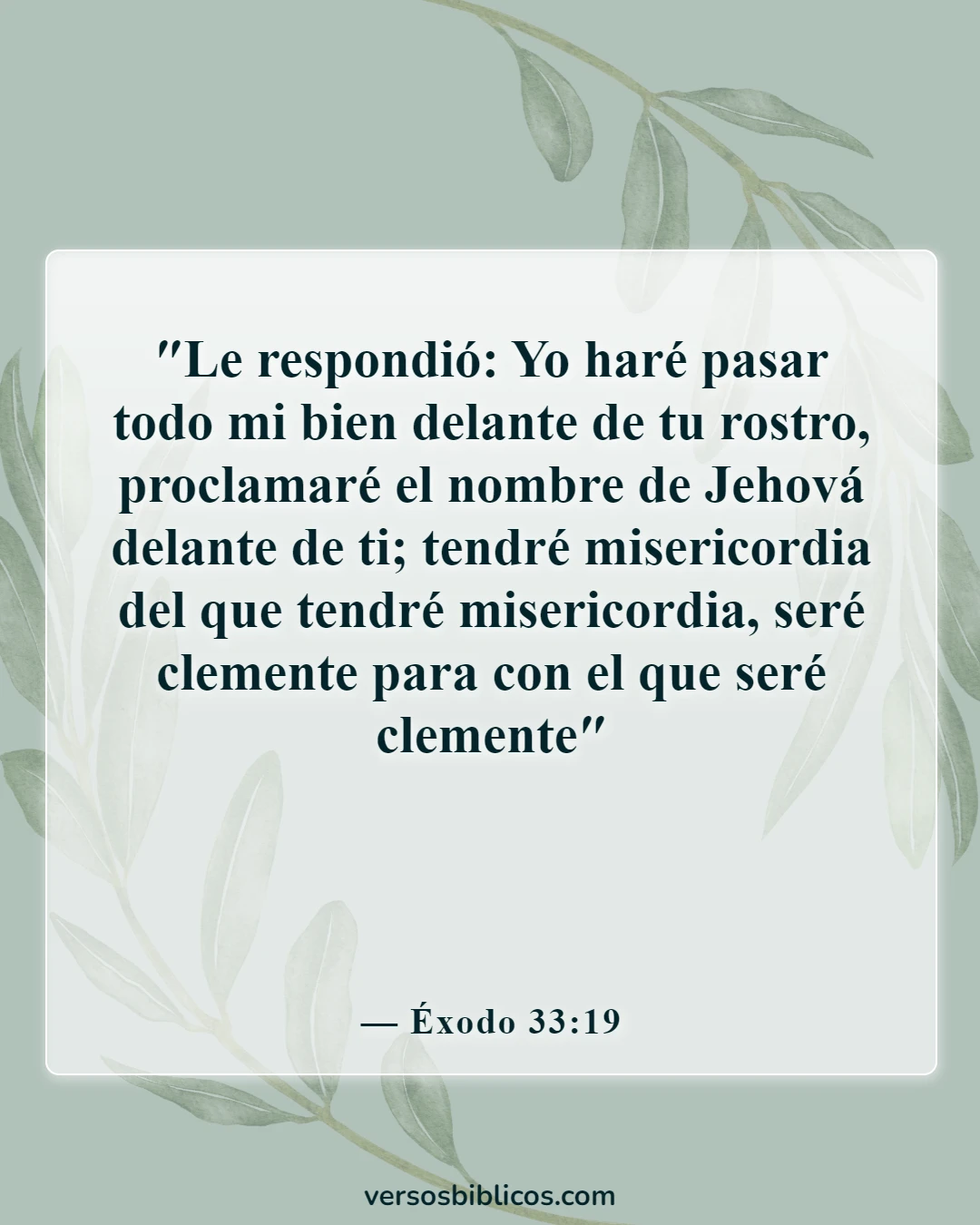 Versículos de la Biblia sobre el favor inmerecido de Dios (Éxodo 33:19)