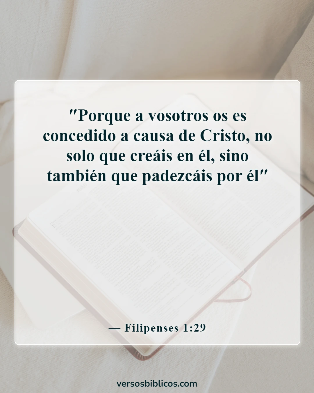 Versículos de la Biblia sobre la persecución (Filipenses 1:29)