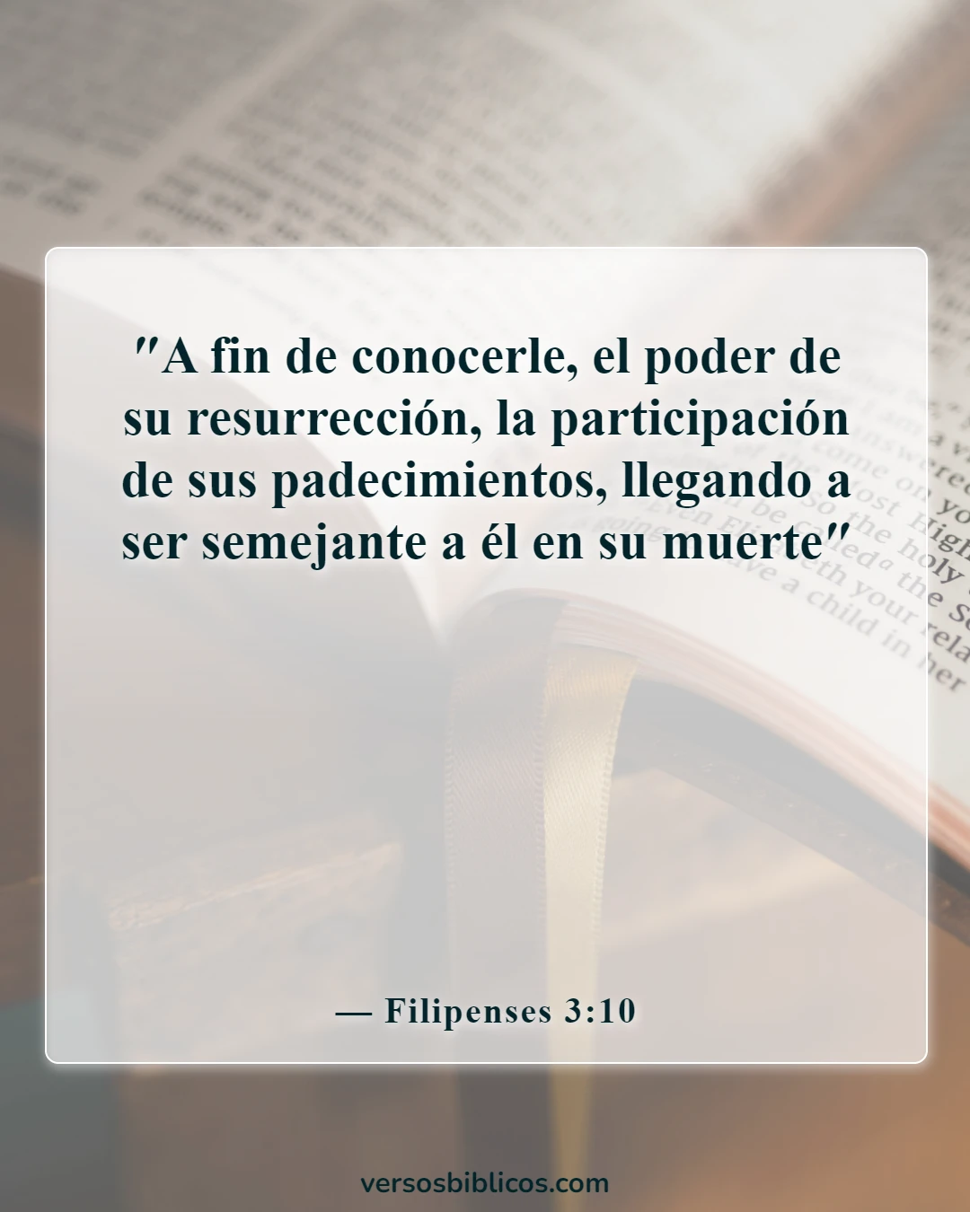 Versículos de la Biblia sobre el conocimiento de Dios (Filipenses 3:10)