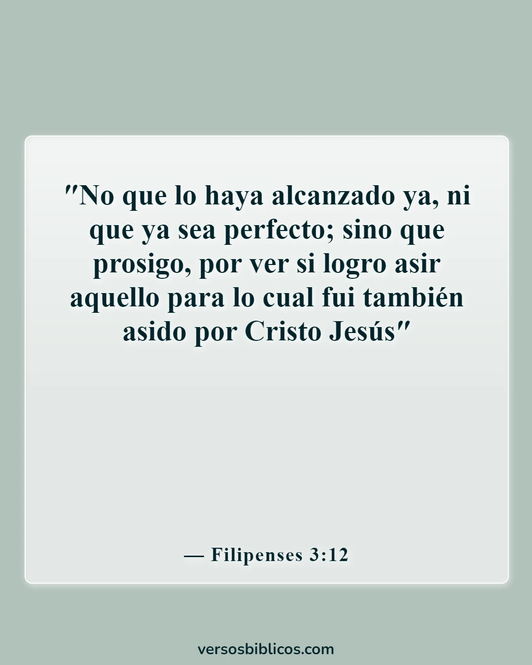 Versículos de la Biblia sobre el entrenamiento en justicia (Filipenses 3:12)