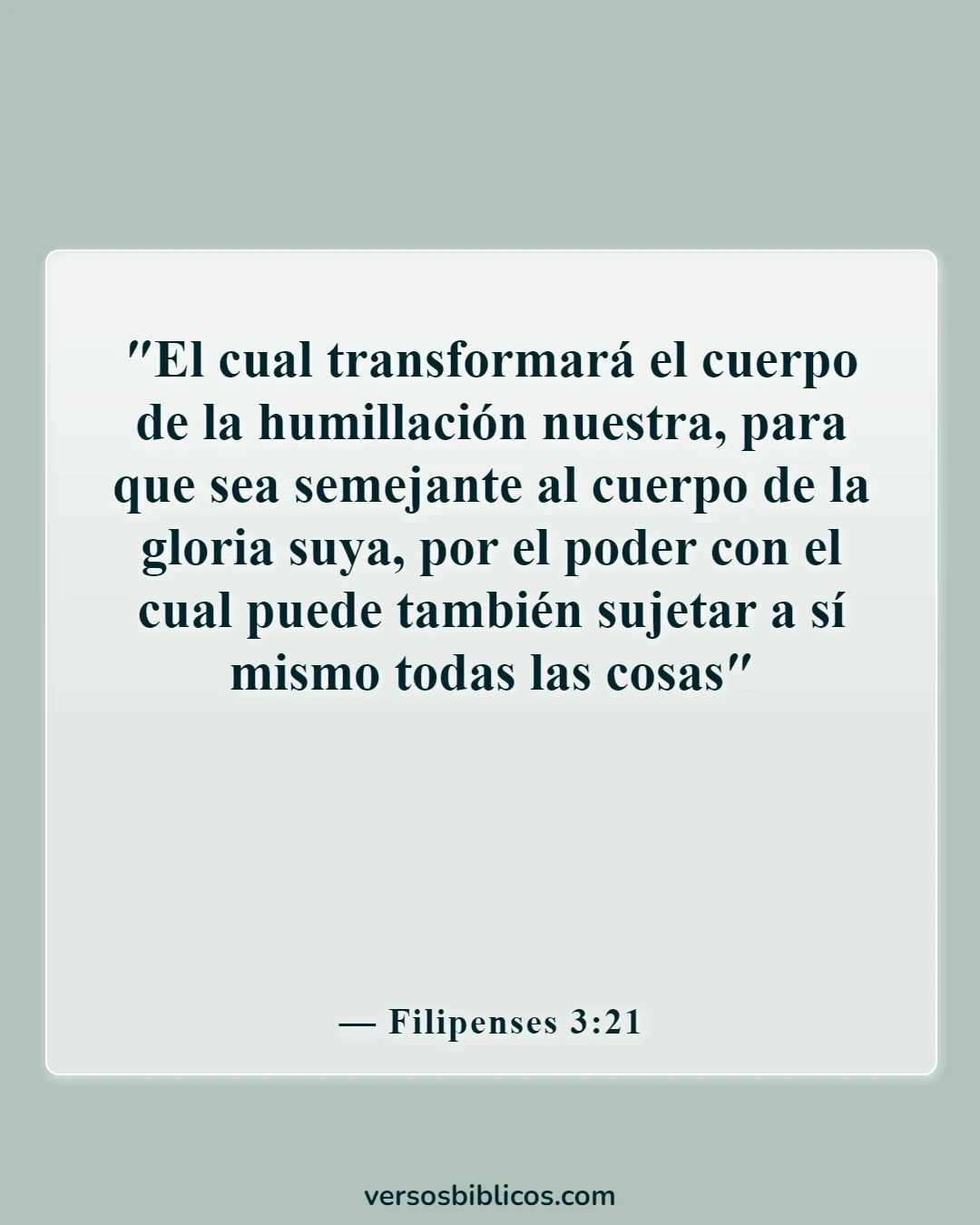 Versículos de la Biblia sobre el respeto a tu cuerpo (Filipenses 3:21)