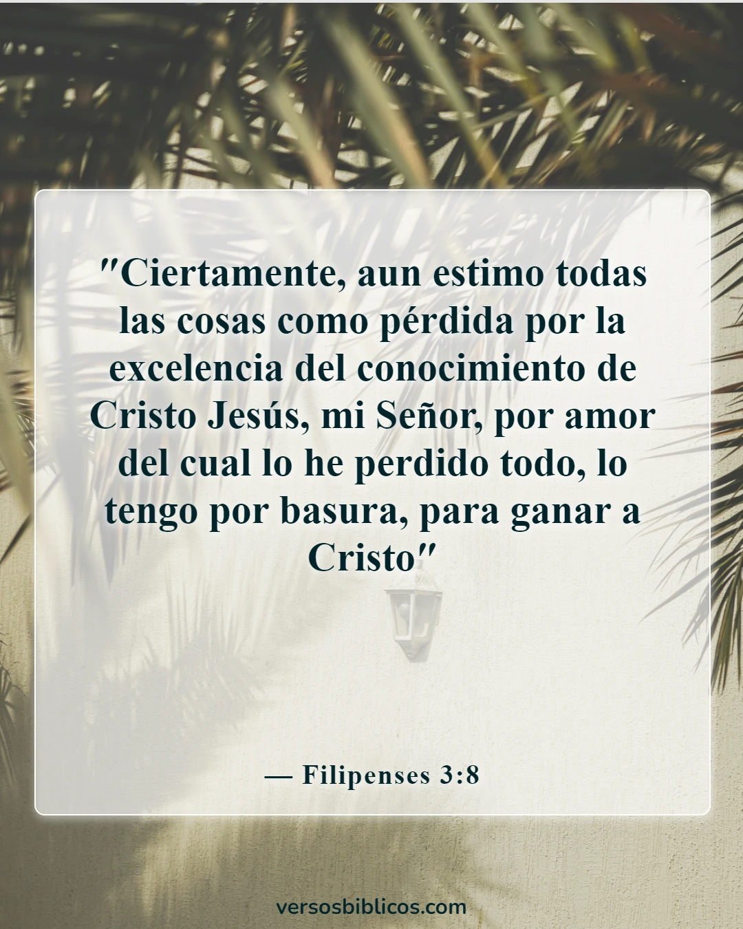 Versículos de la Biblia sobre el conocimiento de Dios (Filipenses 3:8)