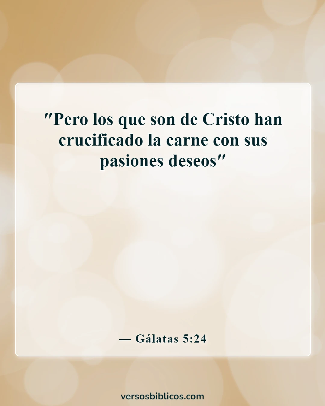 Versículos de la Biblia sobre la lujuria de la carne (Gálatas 5:24)