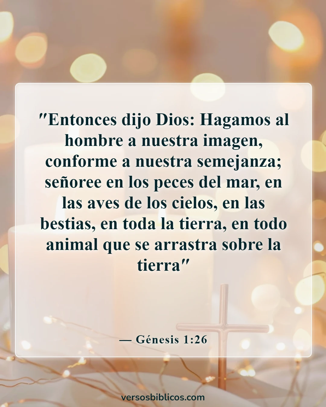 Versículos de la Biblia sobre la Trinidad (Génesis 1:26)