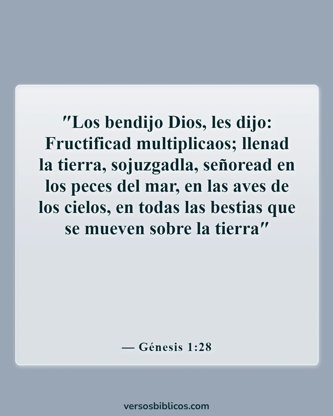 Versículos de la Biblia sobre el embarazo inesperado (Génesis 1:28)