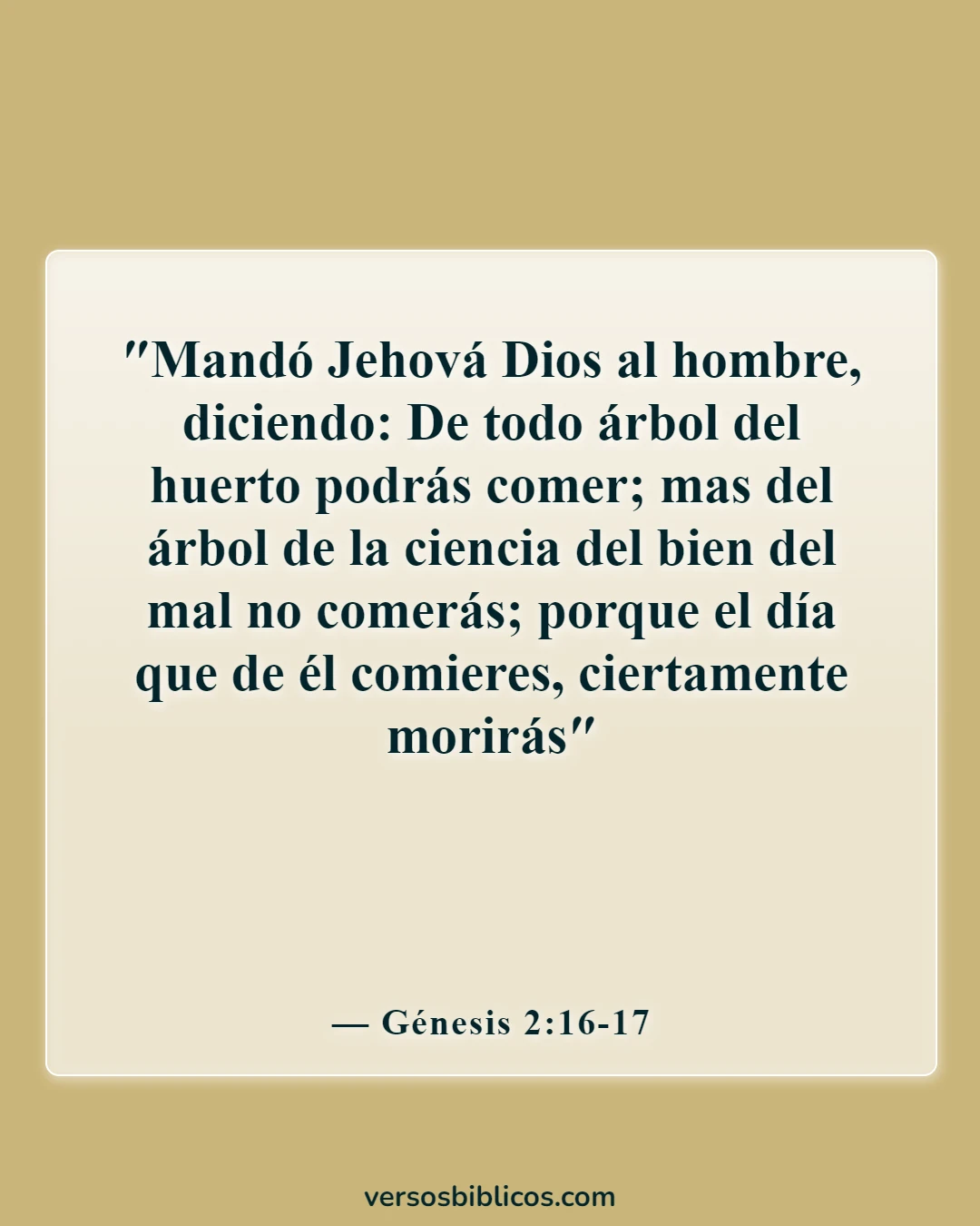 Versículos de la Biblia sobre contra la predestinación (Génesis 2:16-17)
