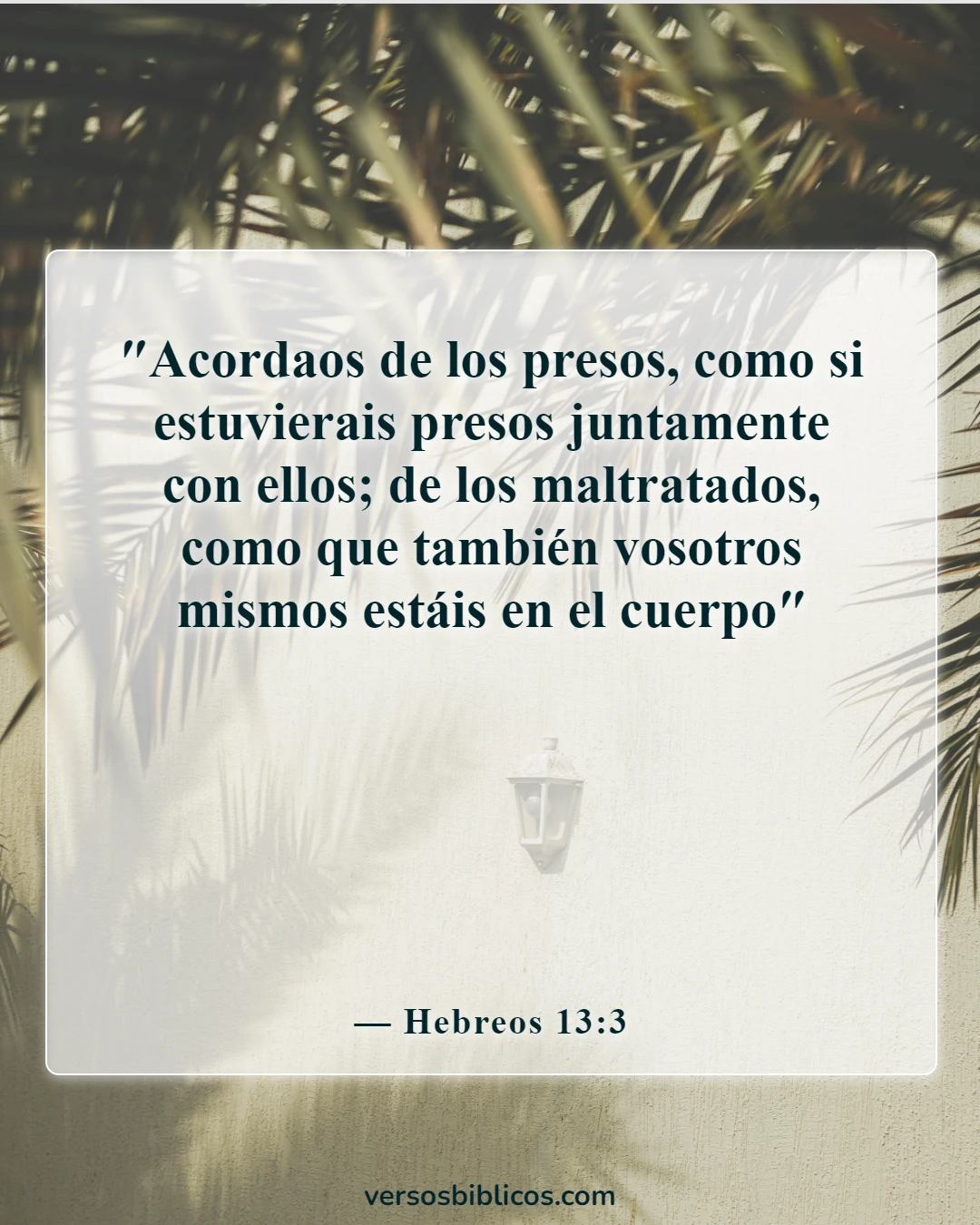 Versículos de la Biblia sobre llevar las cargas unos de otros (Hebreos 13:3)