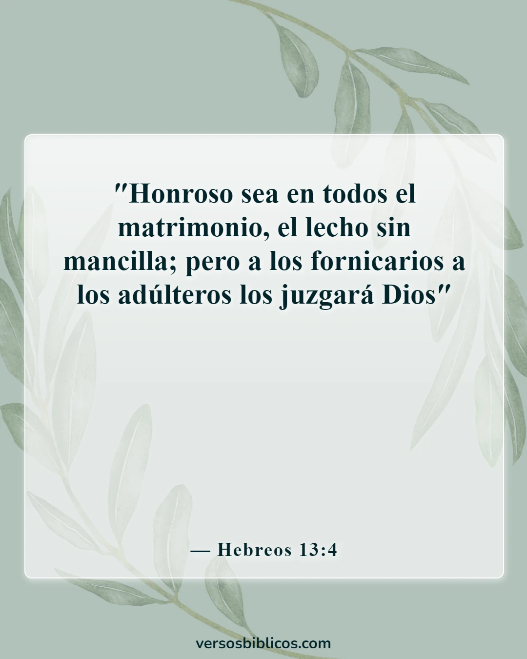 Versículos de la Biblia sobre cometer adulterio y lujuria en el corazón (Hebreos 13:4)