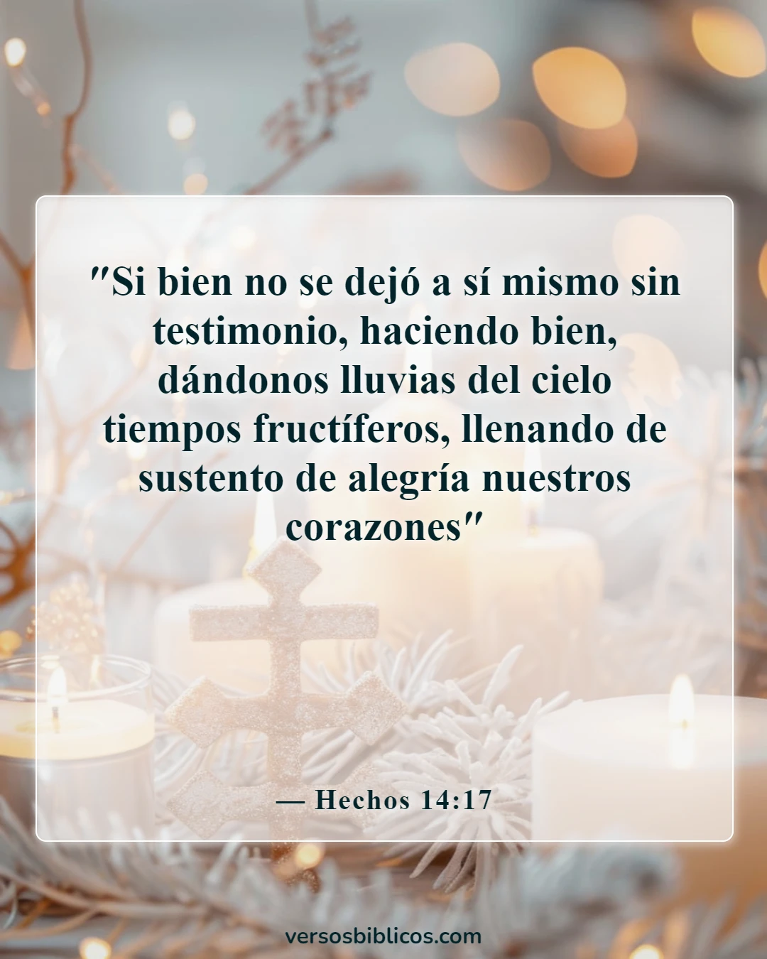 Versículos de la Biblia sobre la belleza de la naturaleza (Hechos 14:17)