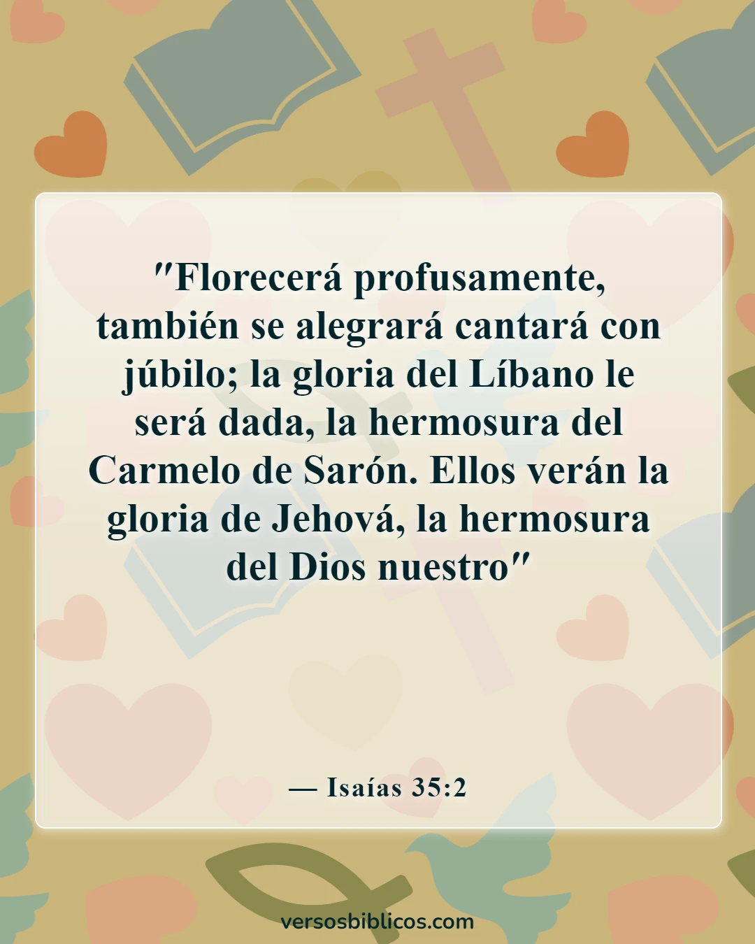 Versículos de la Biblia sobre las rosas (Isaías 35:2)