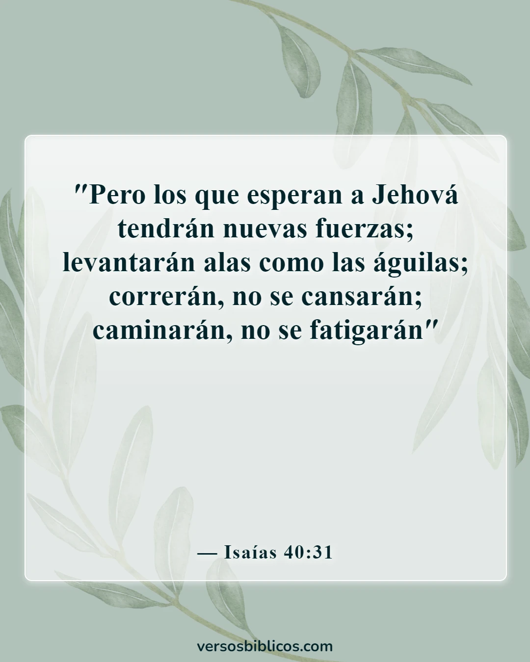 Versículos de la Biblia sobre el embarazo inesperado (Isaías 40:31)