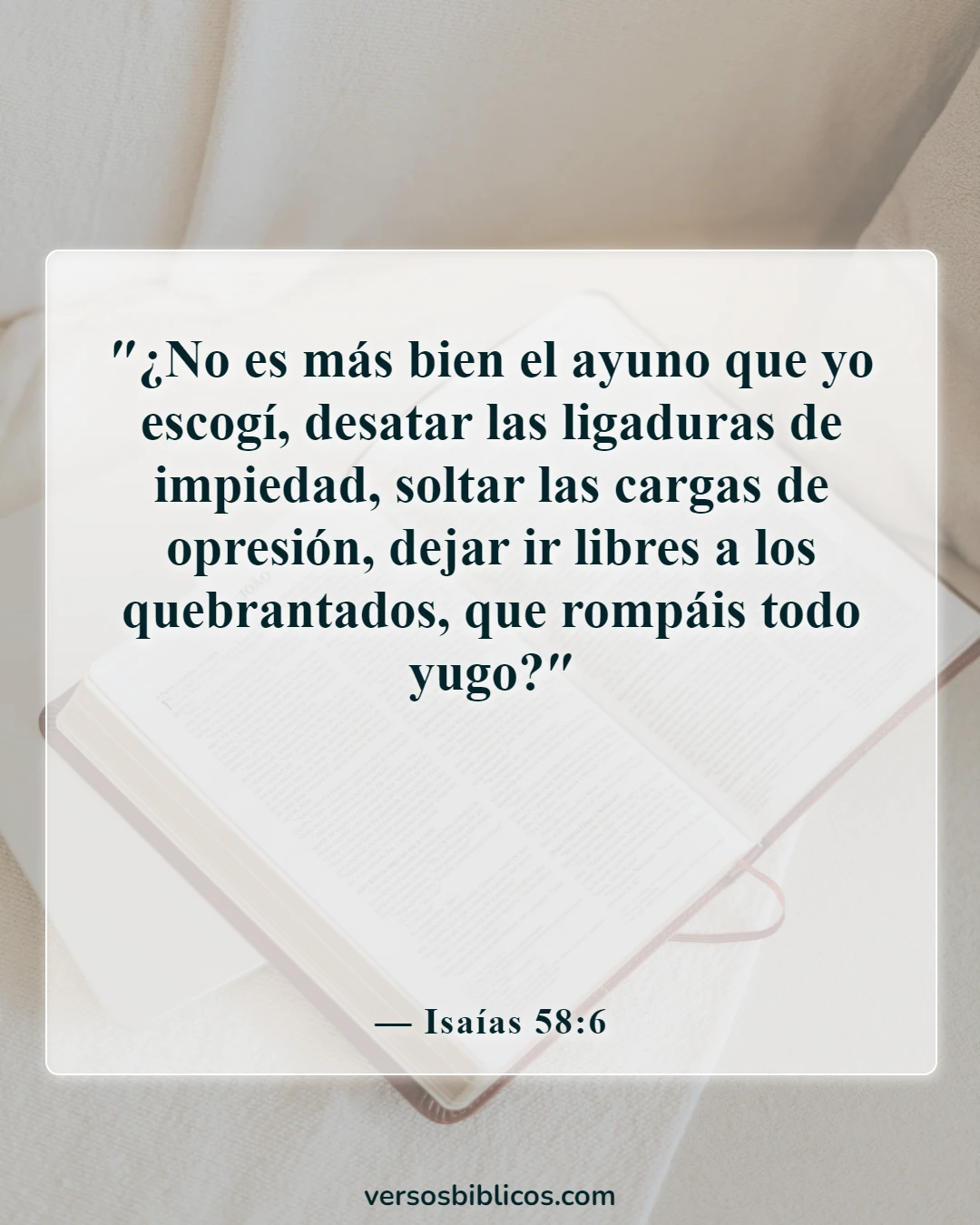 Versículos de la Biblia sobre lastimar a una mujer (Isaías 58:6)