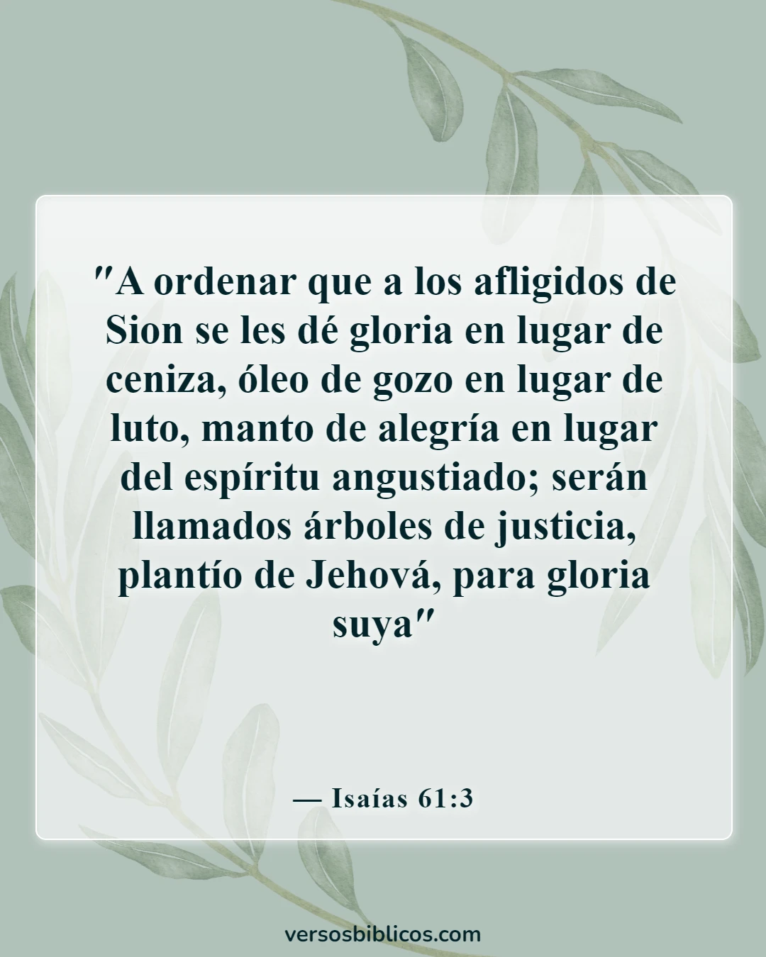 Versículos de la Biblia sobre el suicidio (Isaías 61:3)