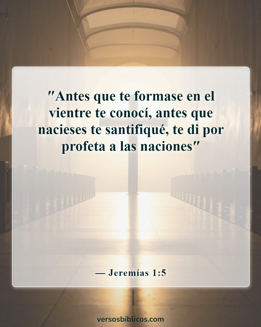 Versículos de la Biblia sobre el embarazo inesperado (Jeremías 1:5)