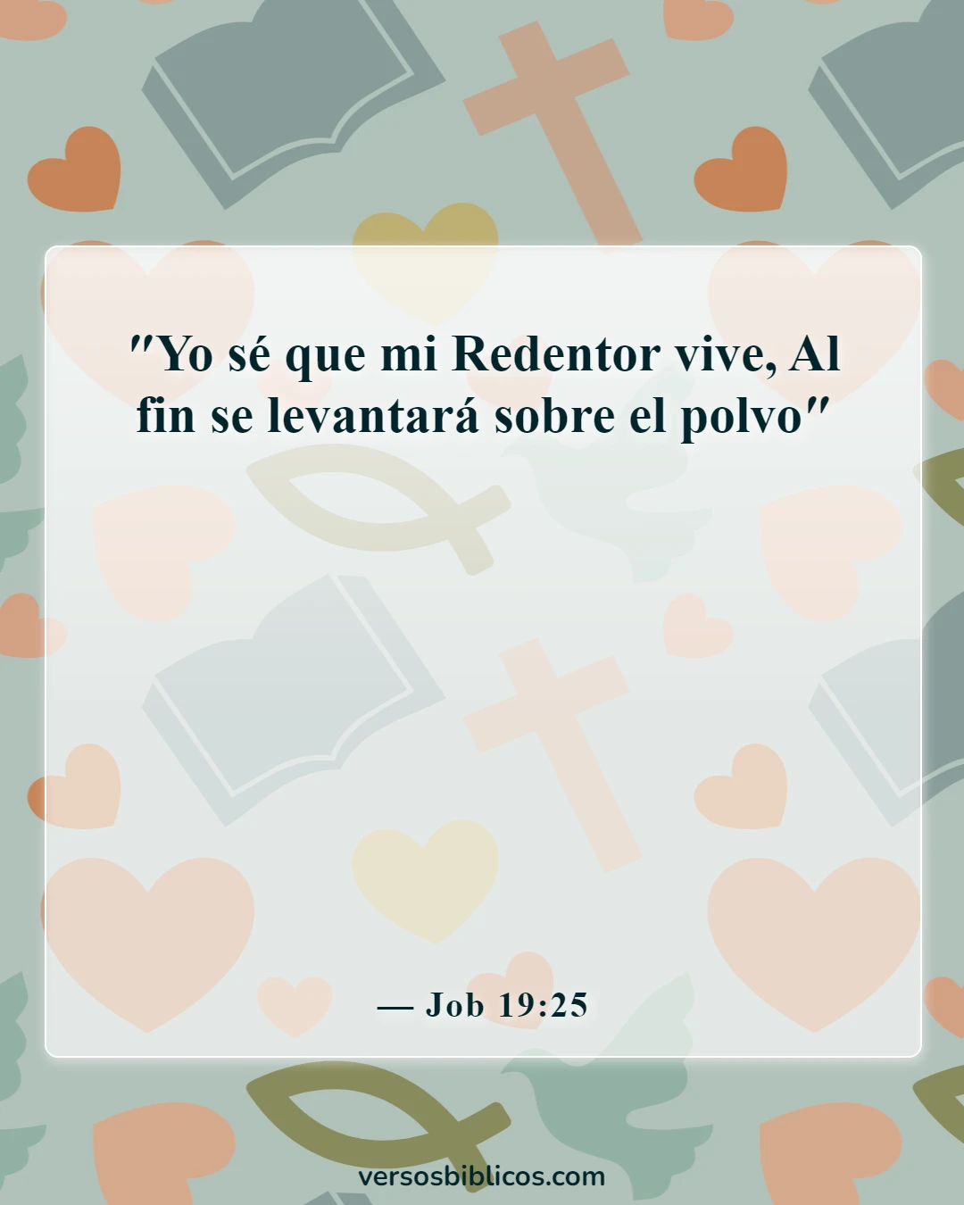 Versículos de la Biblia sobre extrañar a alguien (Job 19:25)