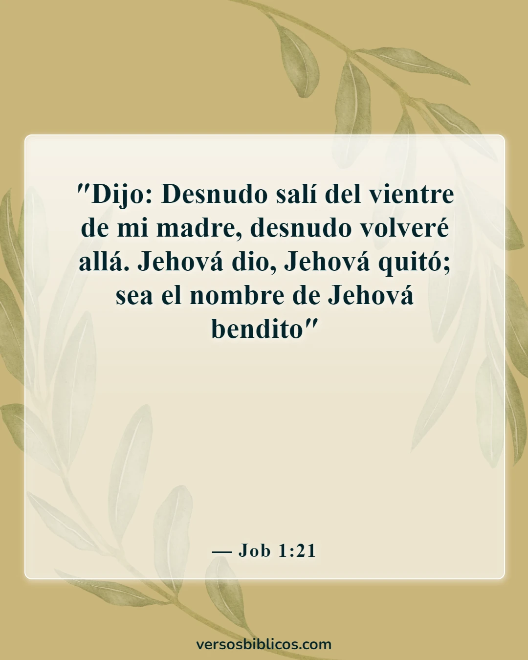 Versículos de la Biblia sobre la resistencia produce carácter (Job 1:21)
