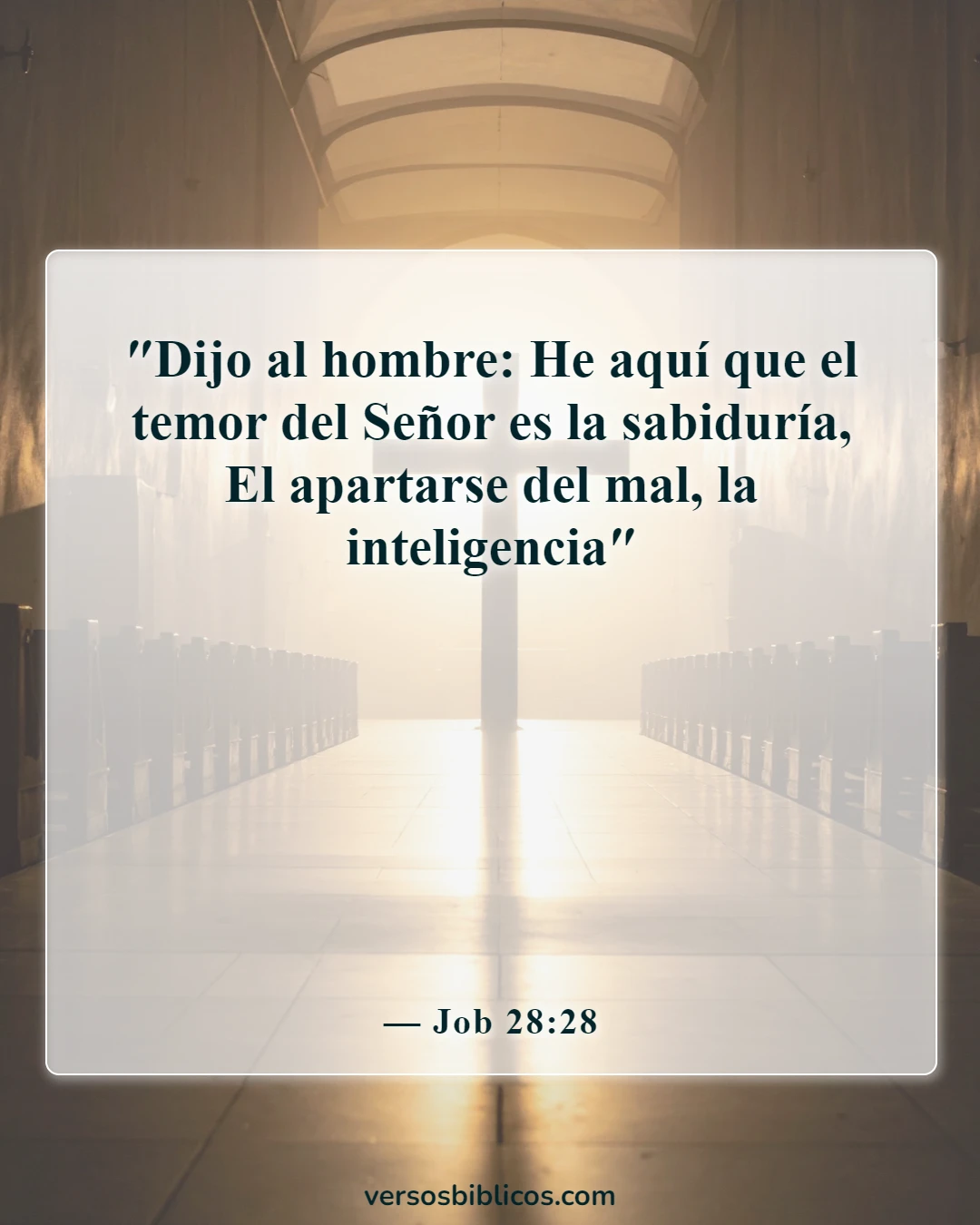 Versículos de la Biblia sobre el conocimiento humano (Job 28:28)