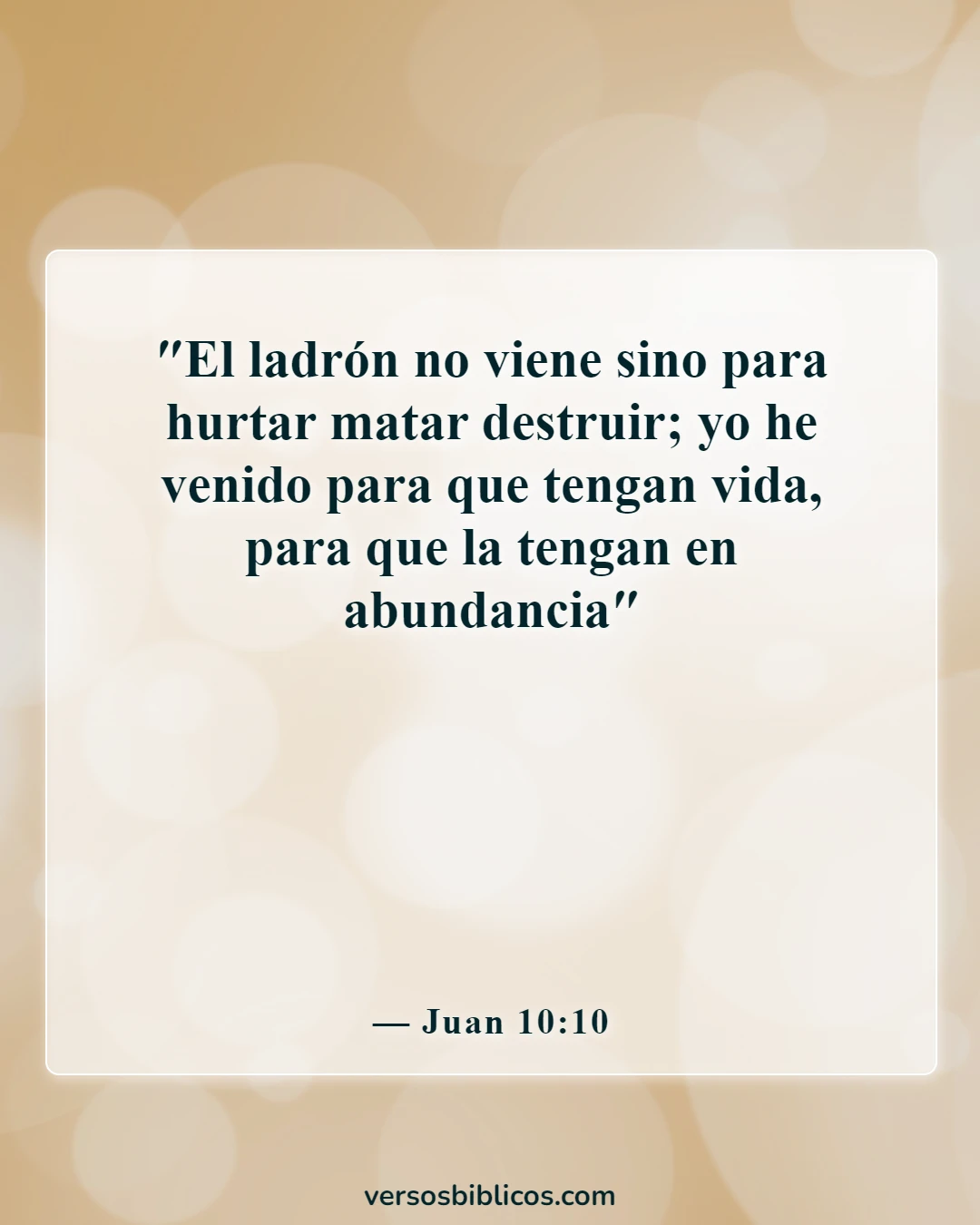 Versículos de la Biblia sobre lo valiosos que somos para Dios (Juan 10:10)