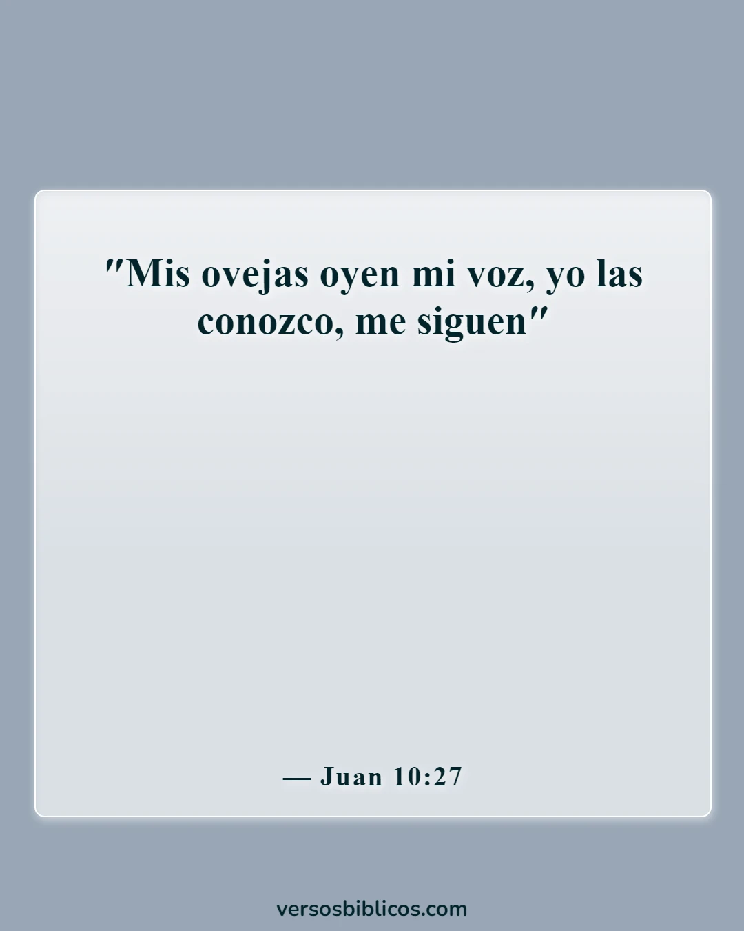 Versículos de la Biblia sobre orientación en la toma de decisiones (Juan 10:27)