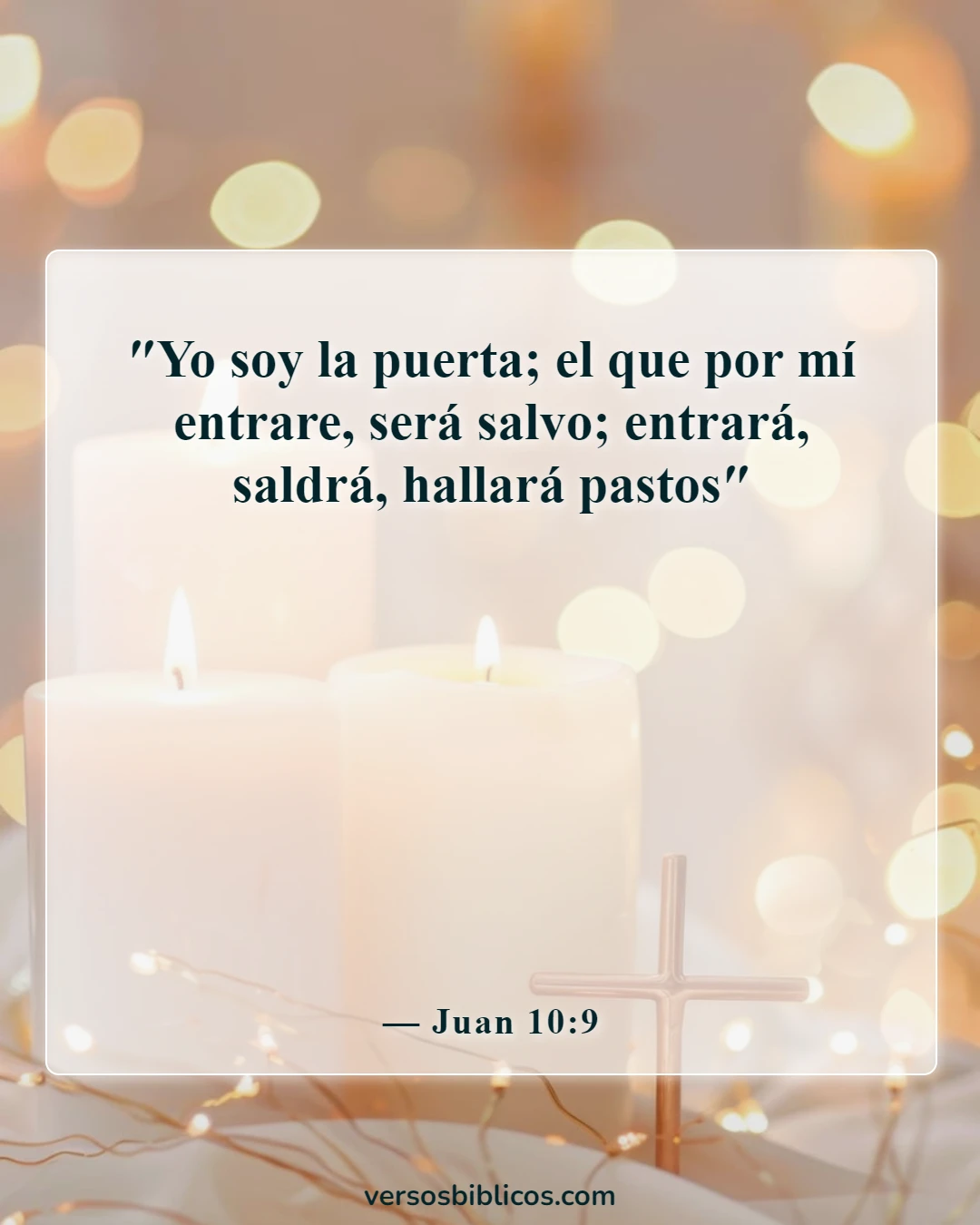 Versículos de la Biblia sobre elegir y caminar por el camino correcto (Juan 10:9)