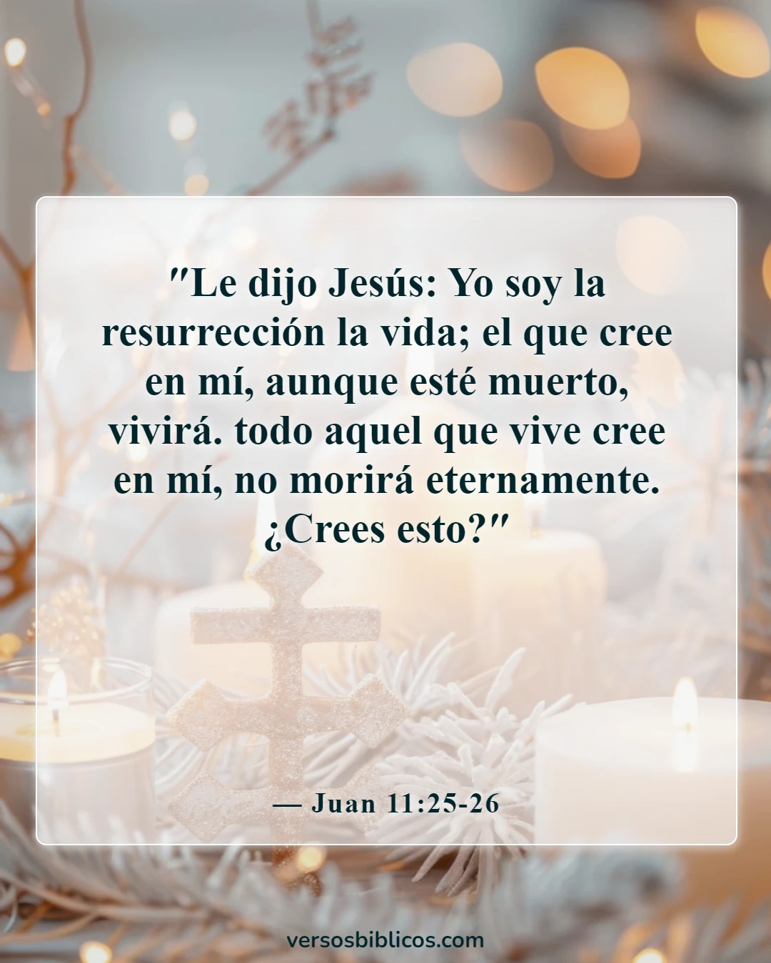 Versículos de la Biblia sobre la seguridad de la salvación (Juan 11:25-26)