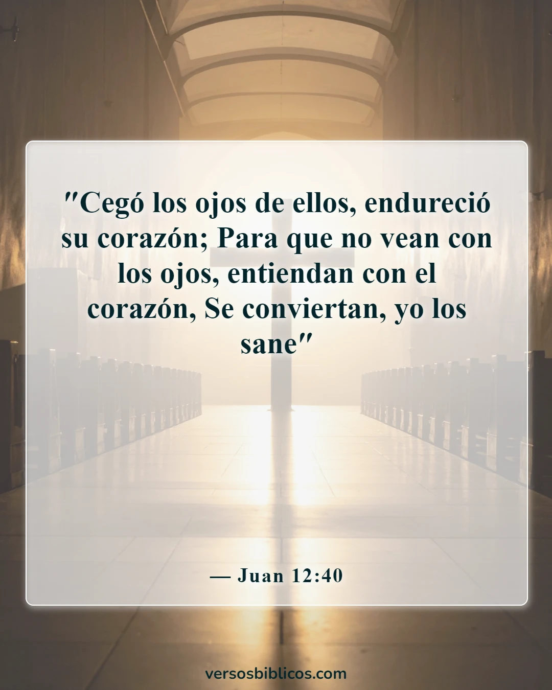 Versículos de la Biblia sobre los incrédulos que no entienden (Juan 12:40)