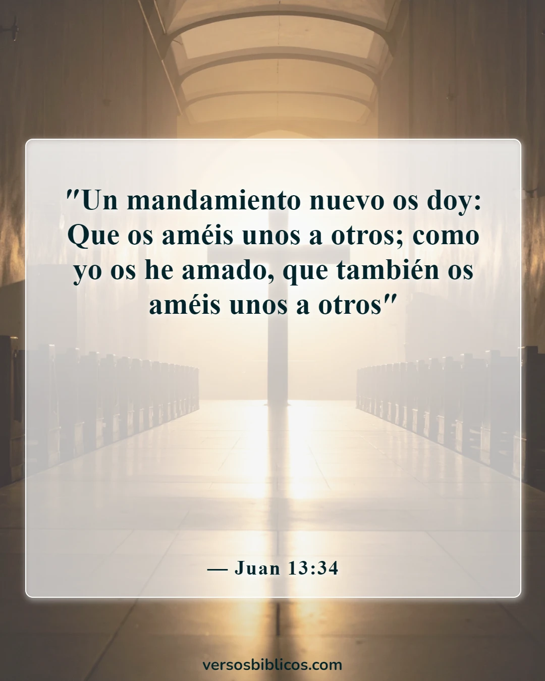 Versículos de la Biblia sobre llevar las cargas unos de otros (Juan 13:34)