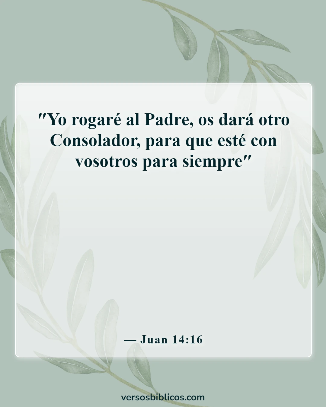 Versículos de la Biblia sobre experimentar la presencia de Dios (Juan 14:16)