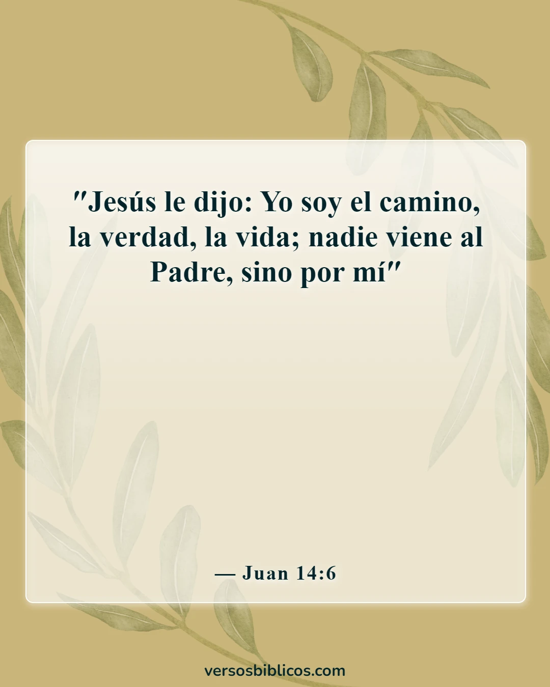 Versículos de la Biblia sobre el conocimiento de Dios (Juan 14:6)